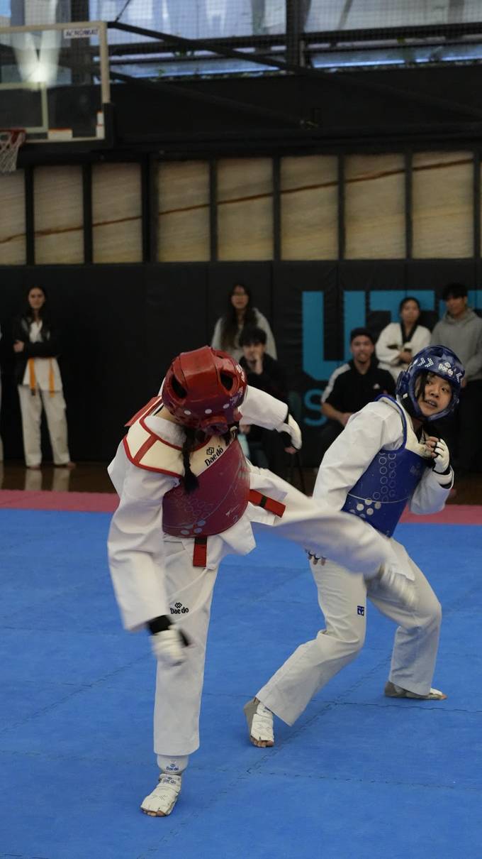 TDog Taekwondo competition G1