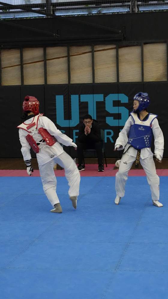 TDog Taekwondo competition G10