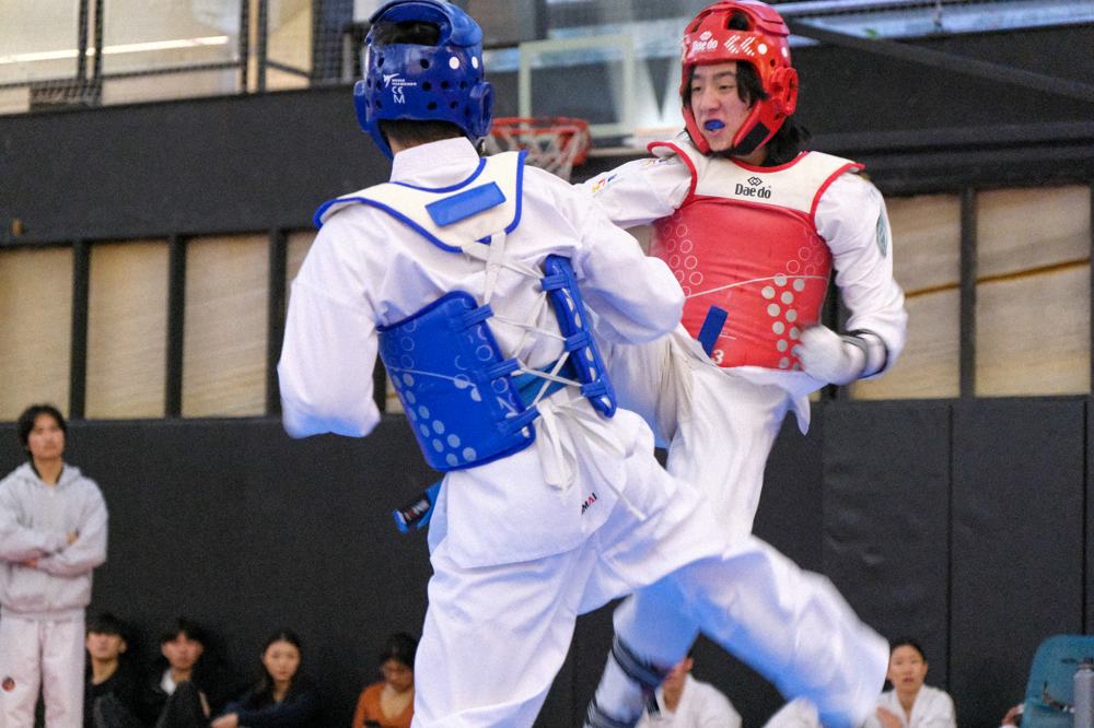 TDog Taekwondo competition G103