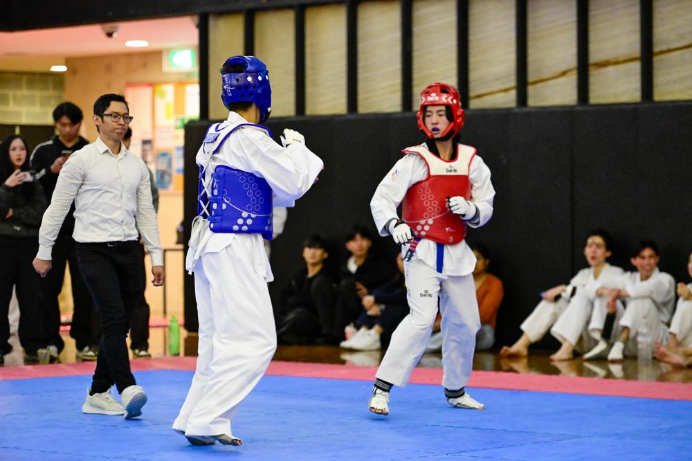 TDog Taekwondo competition G109