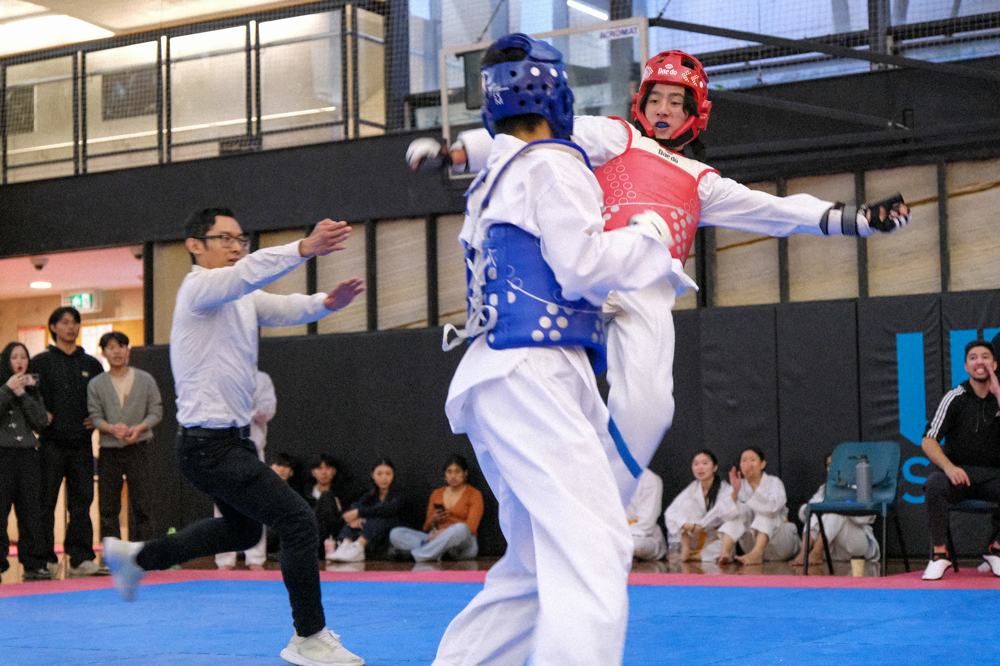 TDog Taekwondo competition G111