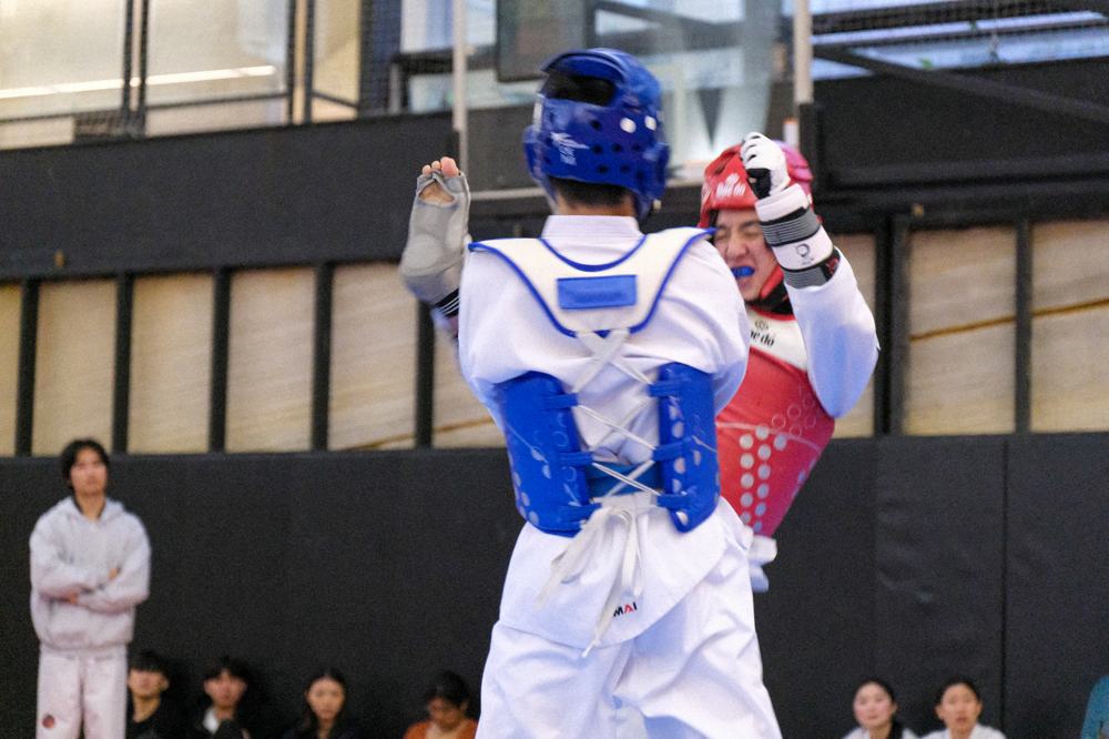 TDog Taekwondo competition G113