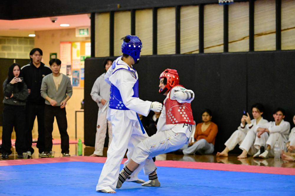 TDog Taekwondo competition G115