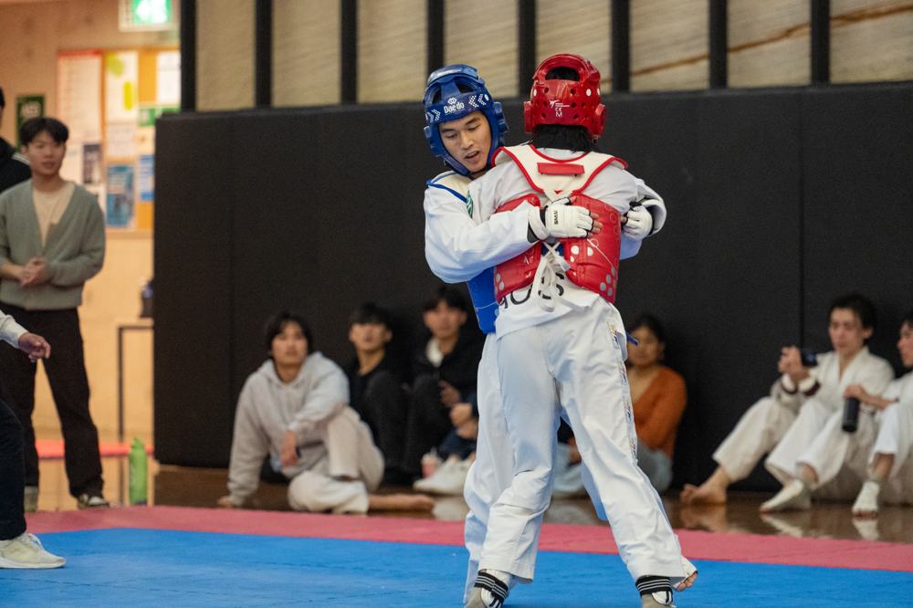 TDog Taekwondo competition G117