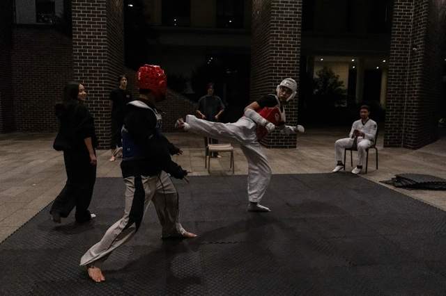 TDog Taekwondo training G12