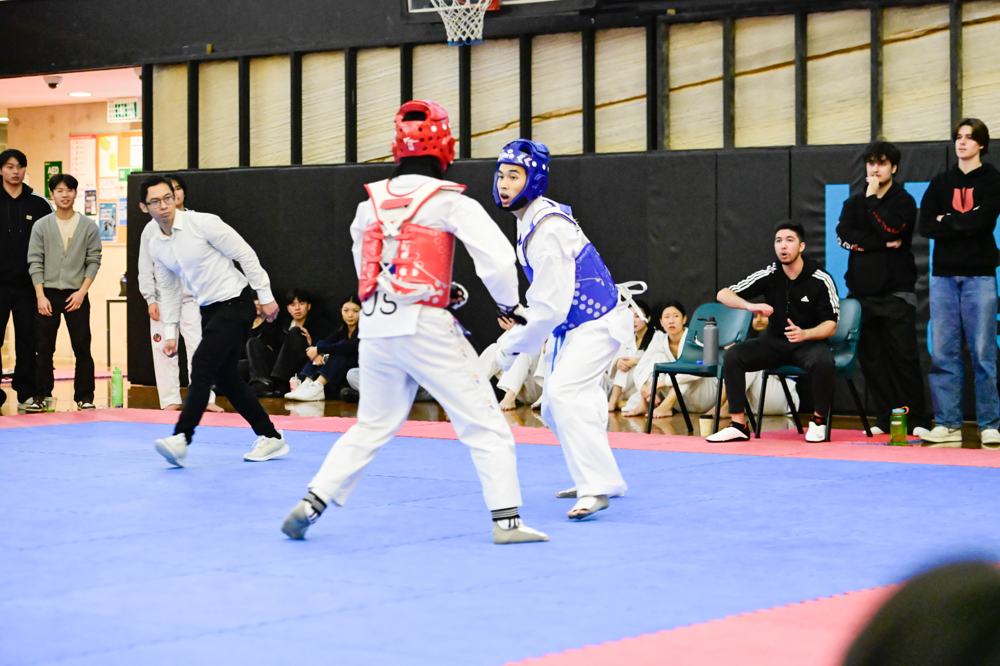 TDog Taekwondo competition G121