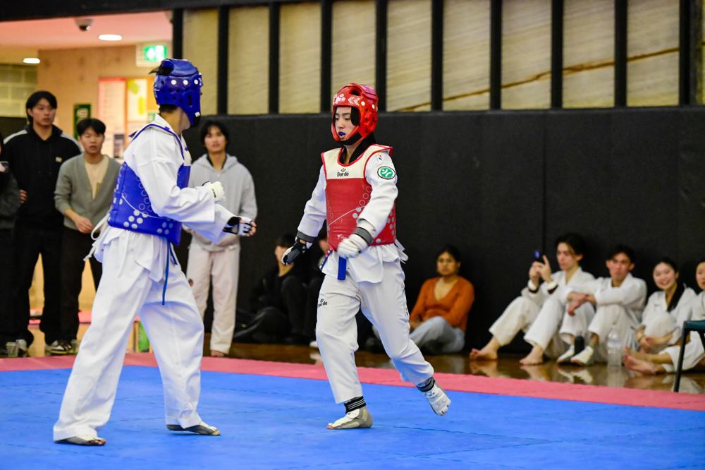 TDog Taekwondo competition G123