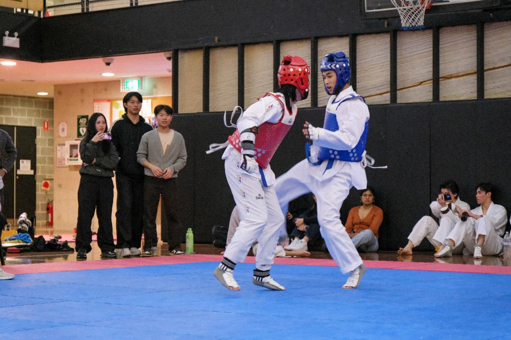 TDog Taekwondo competition G125