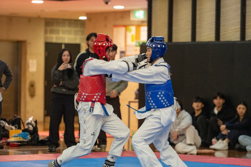 TDog Taekwondo competition G127