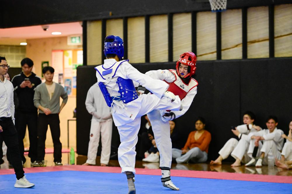 TDog Taekwondo competition G129