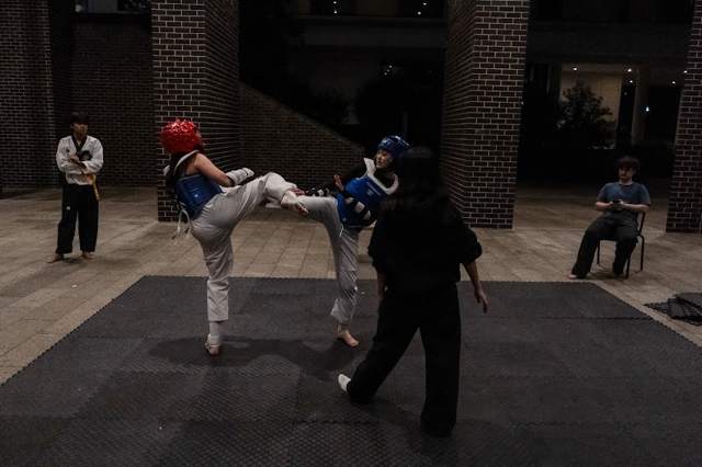 TDog Taekwondo training G13