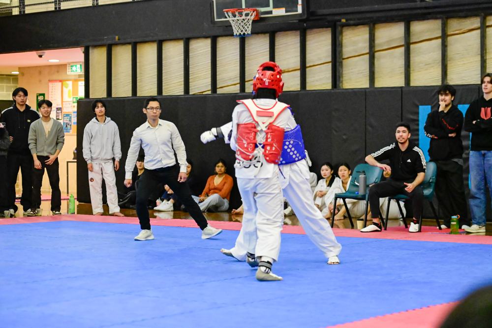 TDog Taekwondo competition G131