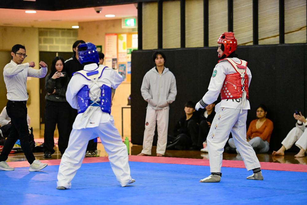 TDog Taekwondo competition G133