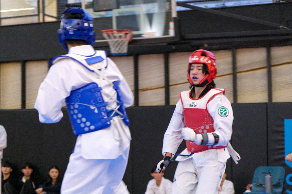 TDog Taekwondo competition G135