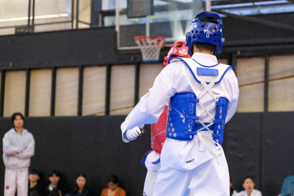 TDog Taekwondo competition G137