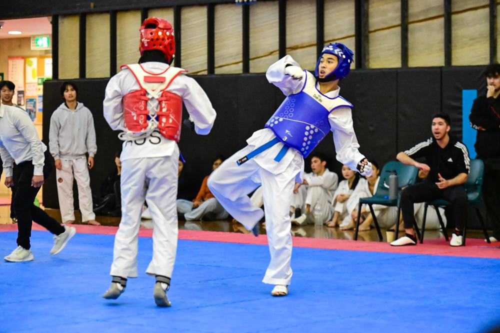 TDog Taekwondo competition G139