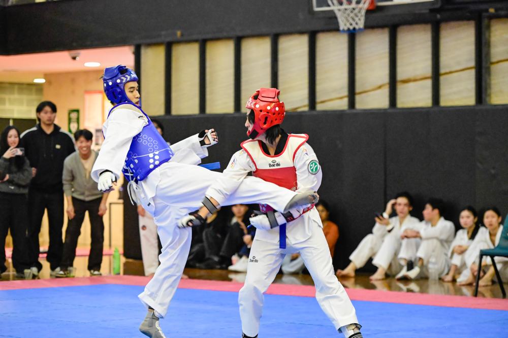 TDog Taekwondo competition G141