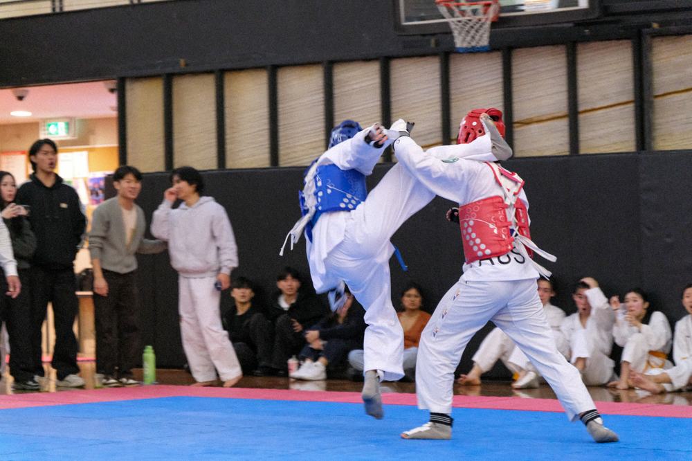 TDog Taekwondo competition G147