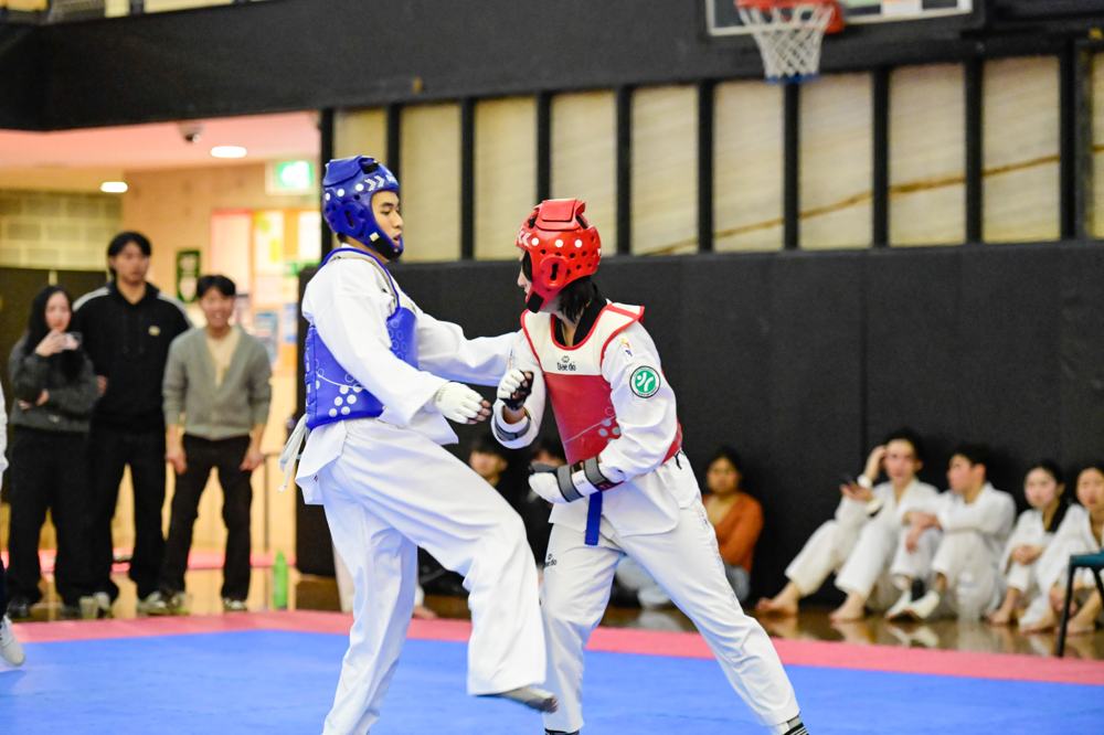 TDog Taekwondo competition G151