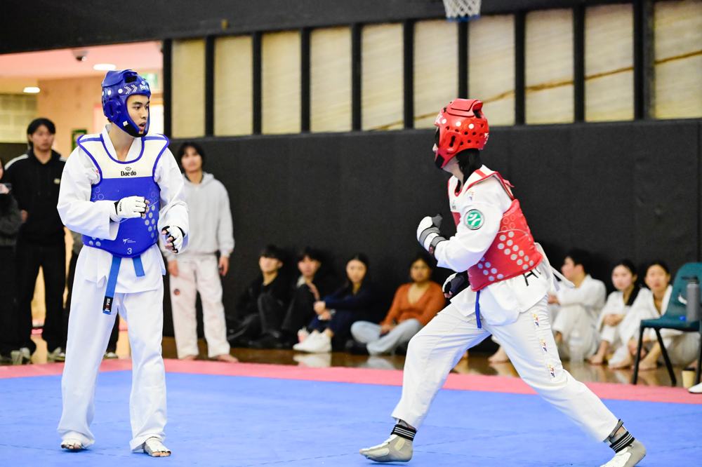 TDog Taekwondo competition G153