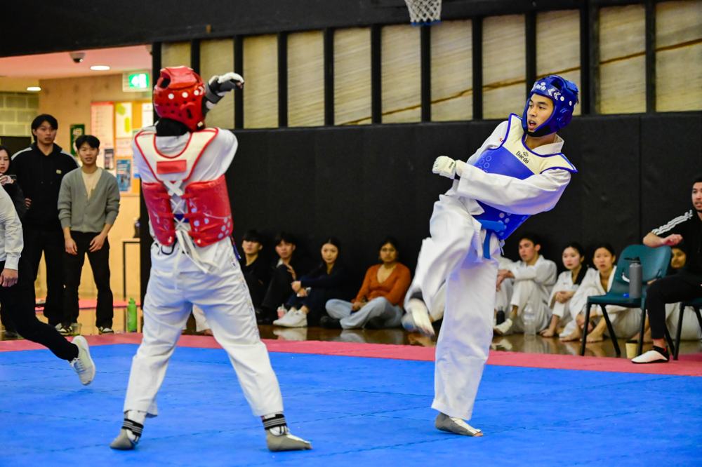 TDog Taekwondo competition G155
