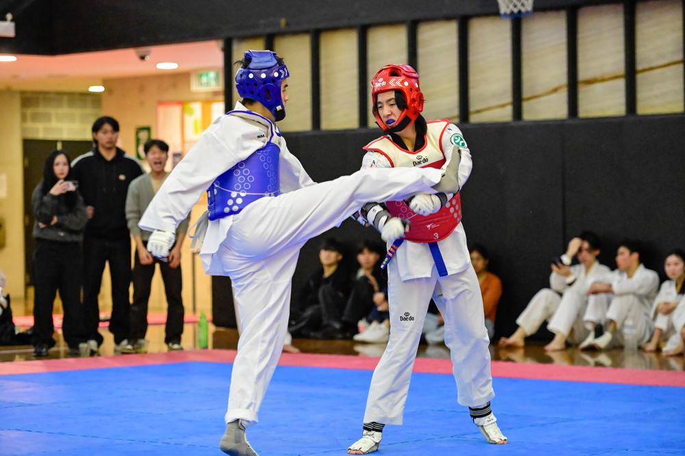 TDog Taekwondo competition G157