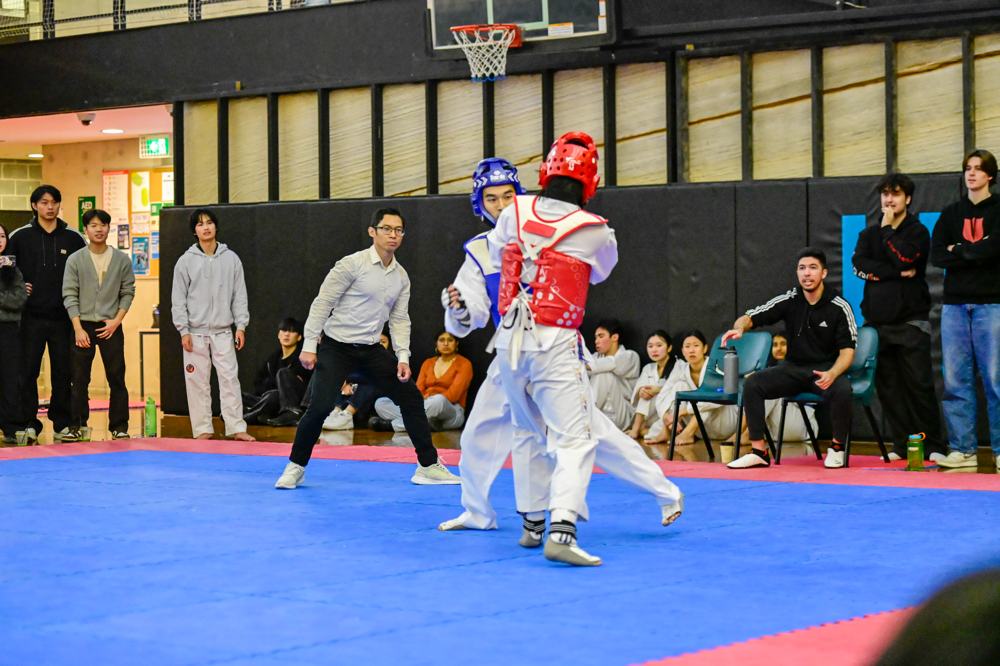 TDog Taekwondo competition G159