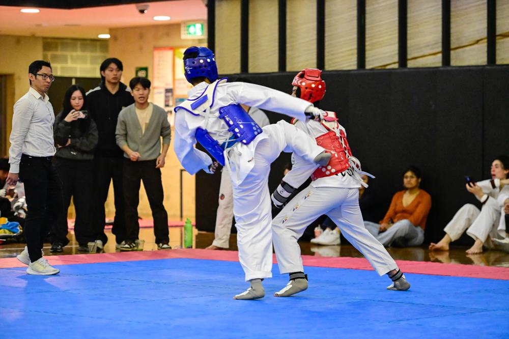 TDog Taekwondo competition G161