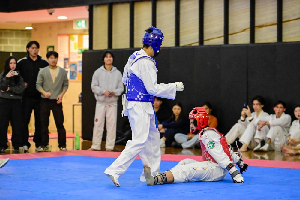 TDog Taekwondo competition G163