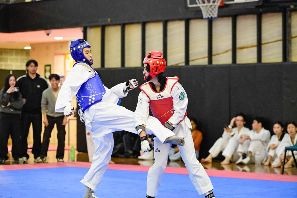 TDog Taekwondo competition G165
