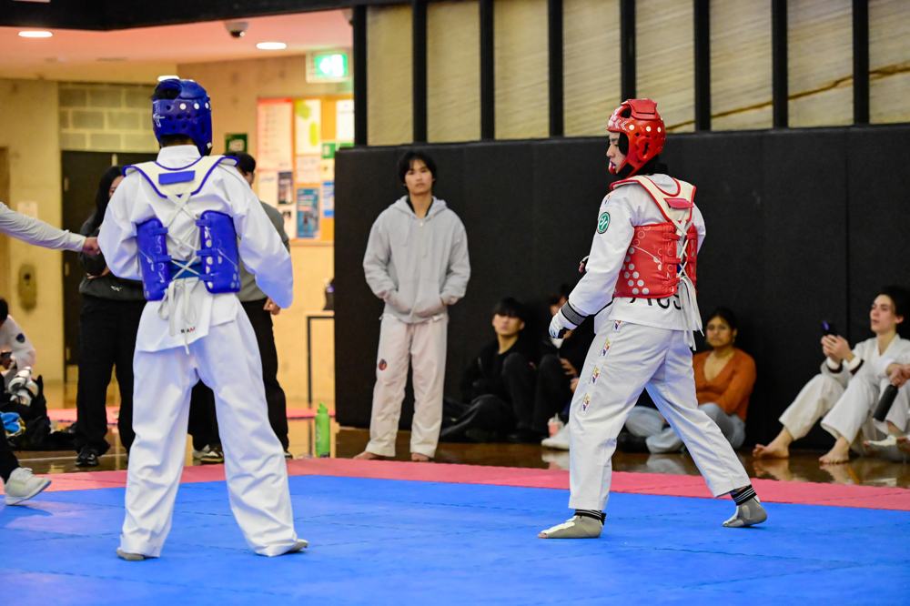 TDog Taekwondo competition G167
