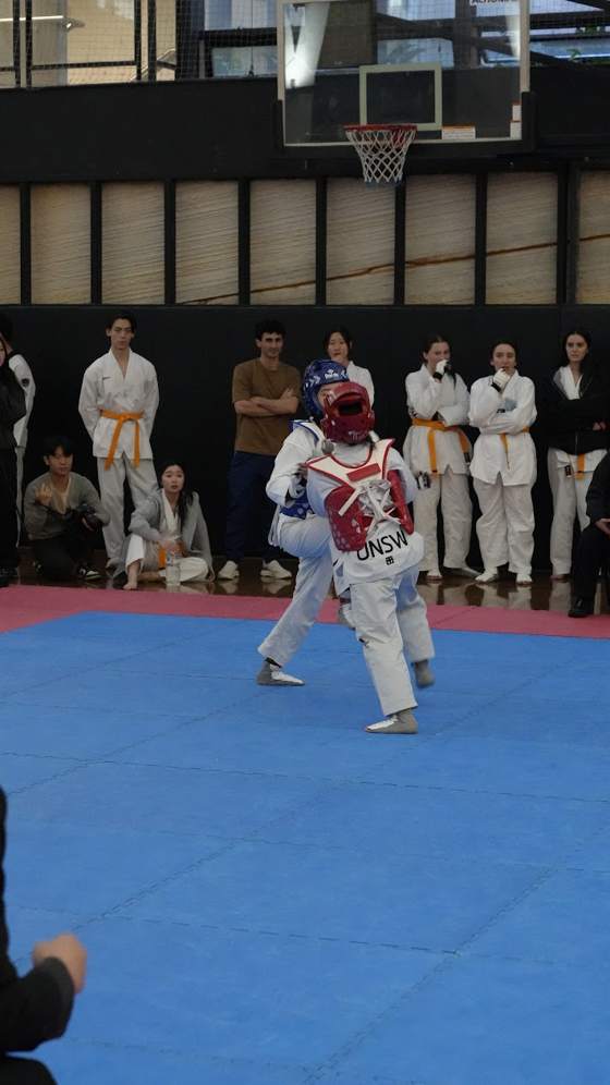 TDog Taekwondo competition G17