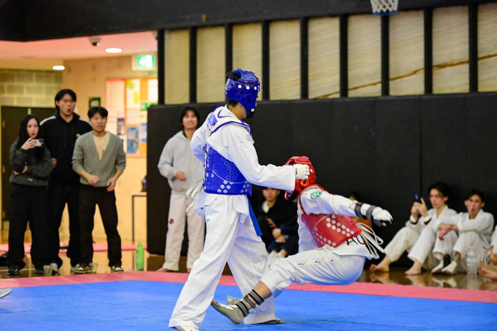 TDog Taekwondo competition G173