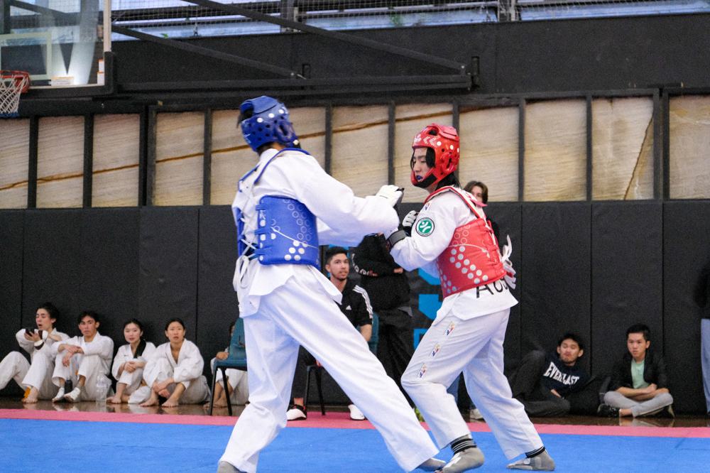 TDog Taekwondo competition G177