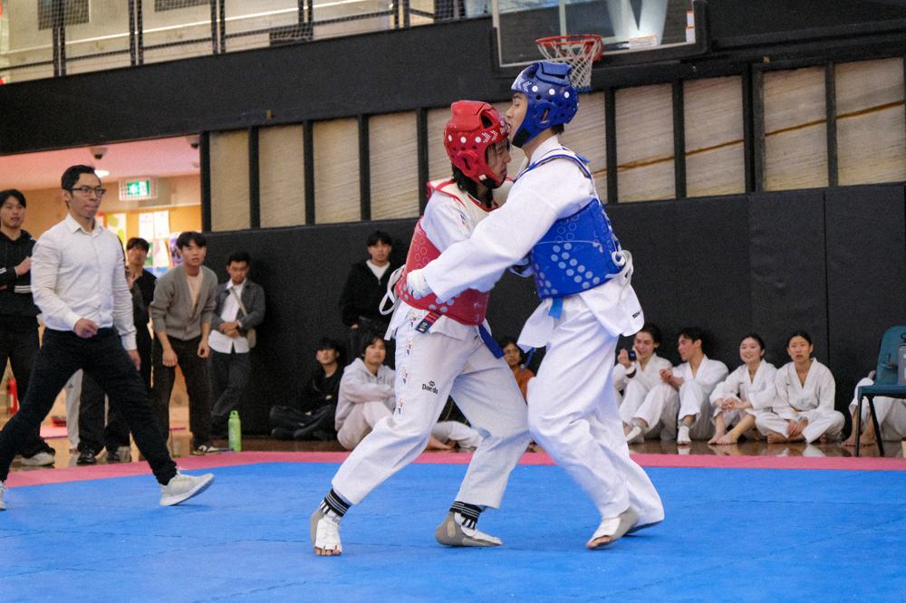 TDog Taekwondo competition G179
