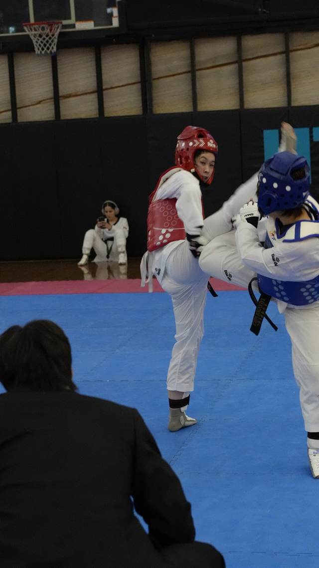 TDog Taekwondo competition G18