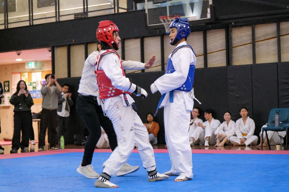 TDog Taekwondo competition G181