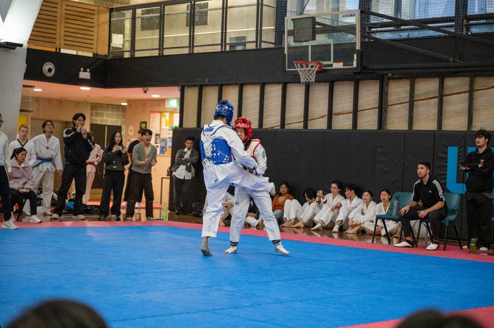 TDog Taekwondo competition G183