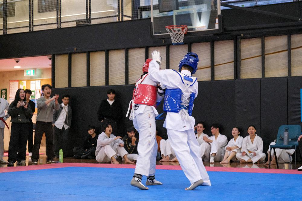 TDog Taekwondo competition G185