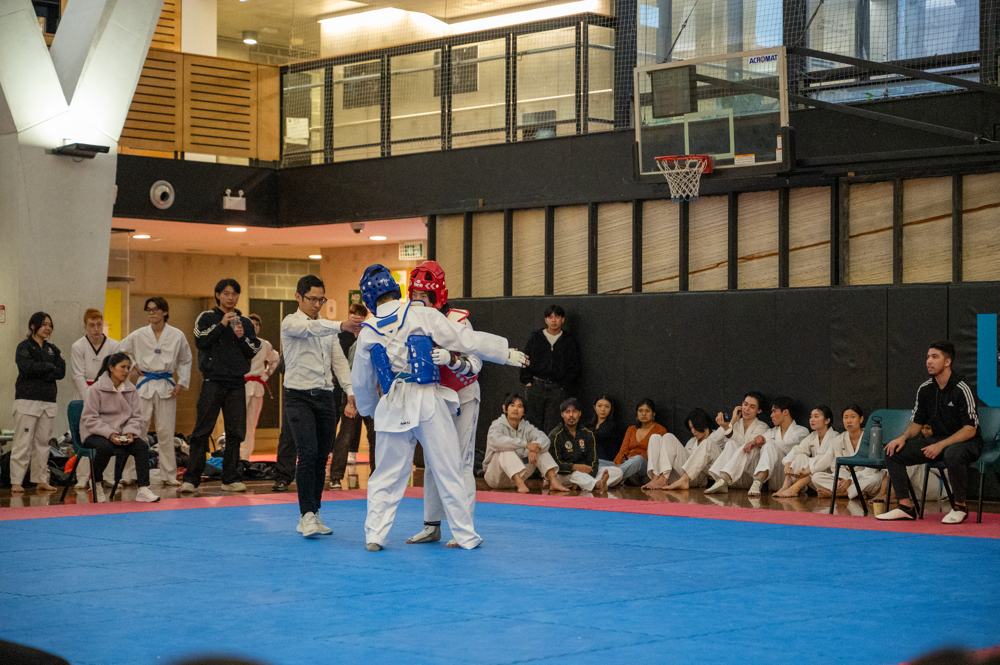 TDog Taekwondo competition G187
