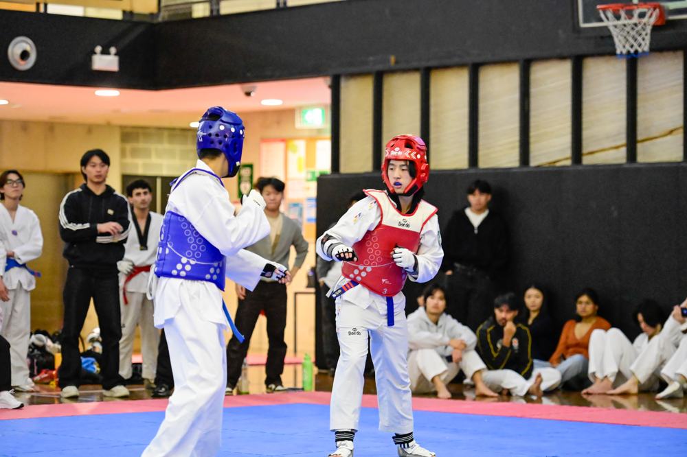 TDog Taekwondo competition G193