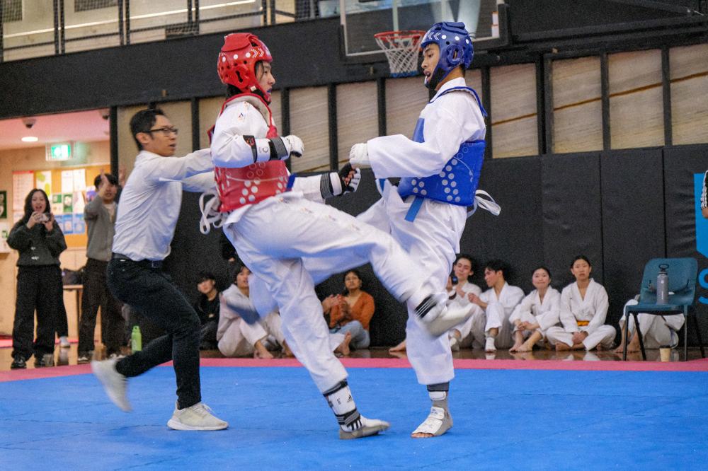 TDog Taekwondo competition G195