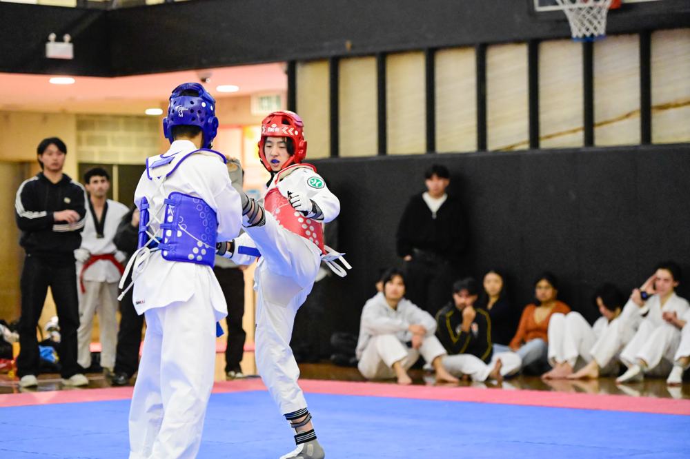 TDog Taekwondo competition G197