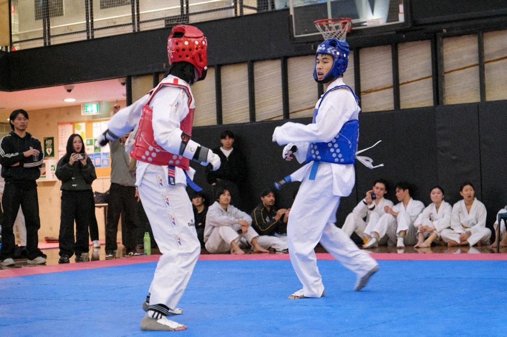 TDog Taekwondo competition G199