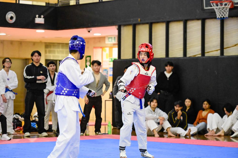TDog Taekwondo competition G201