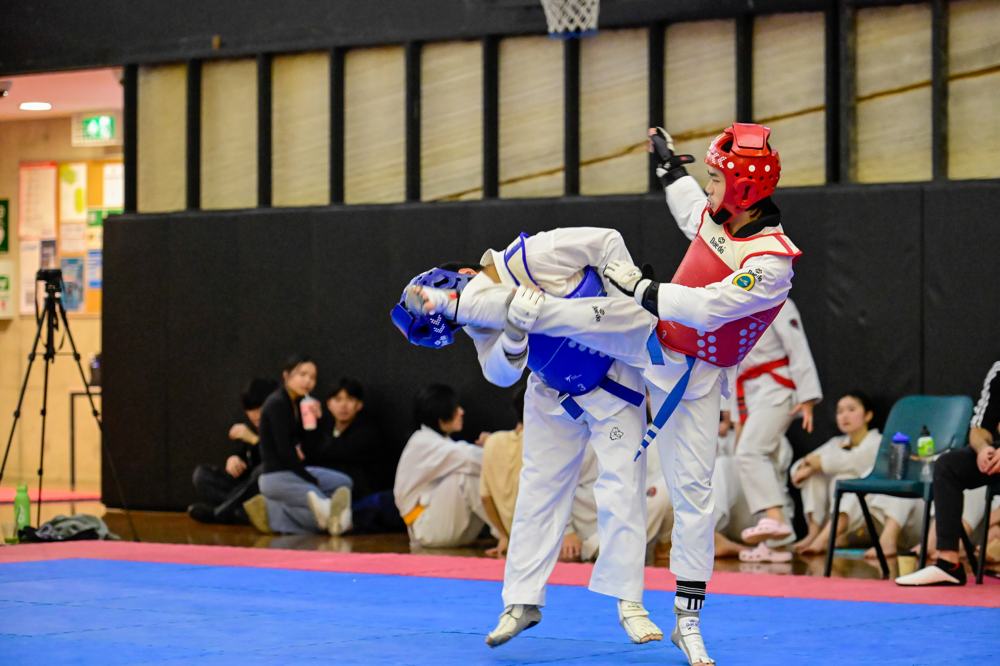 TDog Taekwondo competition G203