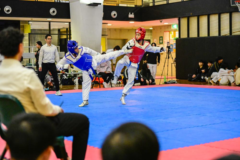 TDog Taekwondo competition G205