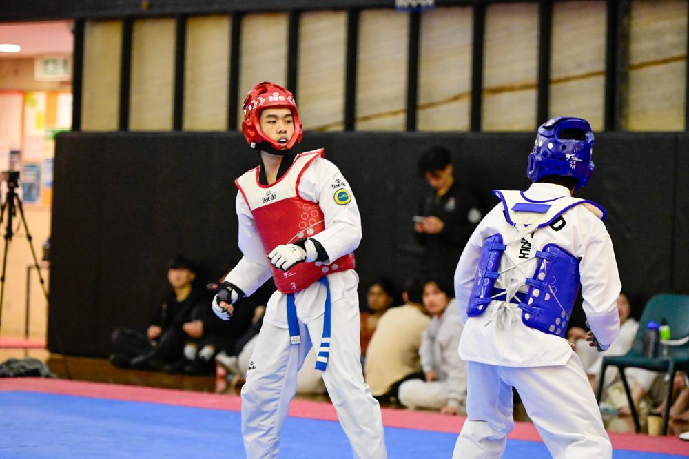 TDog Taekwondo competition G207