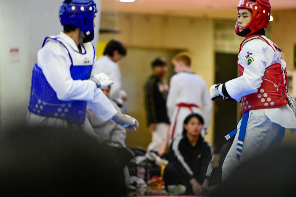 TDog Taekwondo competition G209