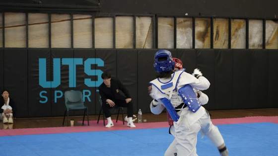 TDog Taekwondo competition G21